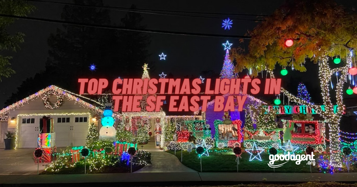 TOP Christmas Lights in the SF East Bay 🎄